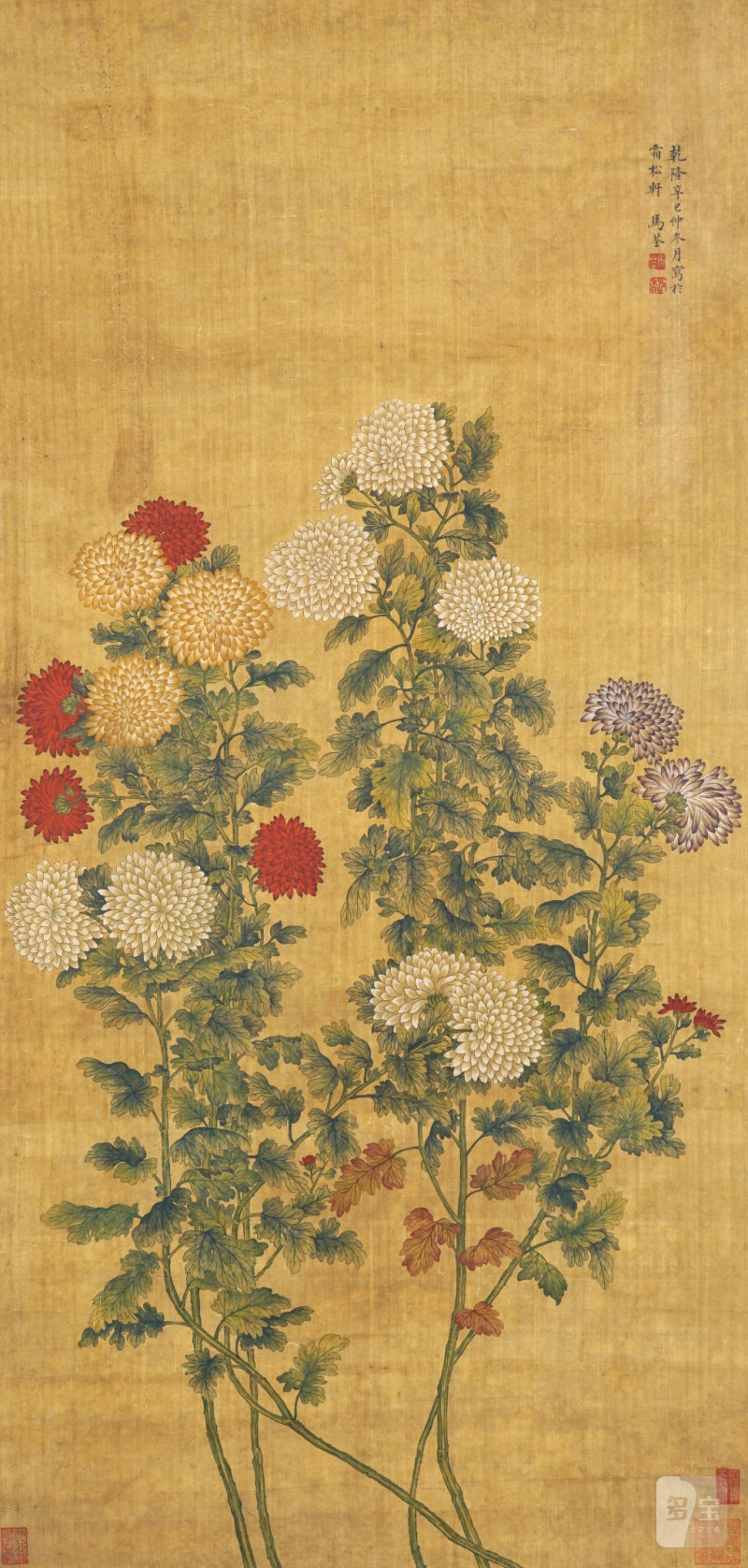    馬荃 花卉